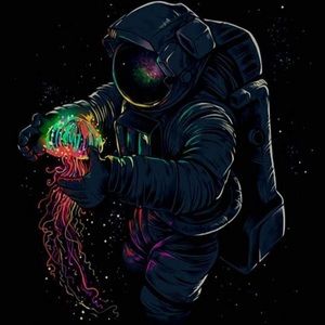 Meet your Posher, Dool